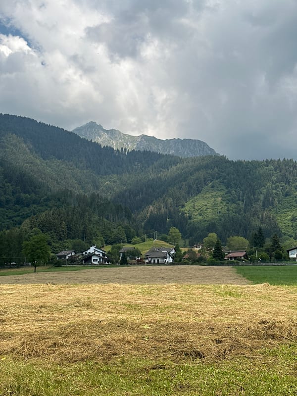 Summer meadows and hay fields in Borno, northern Italy