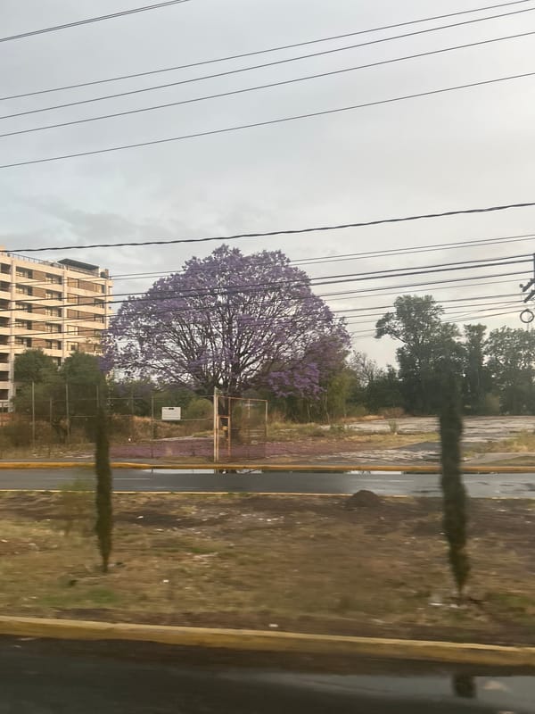 Urban twilight scenes captured in 32-second span
