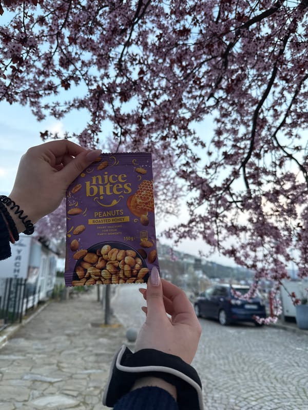 Tourist captures spring afternoon moments in coastal Bulgarian town