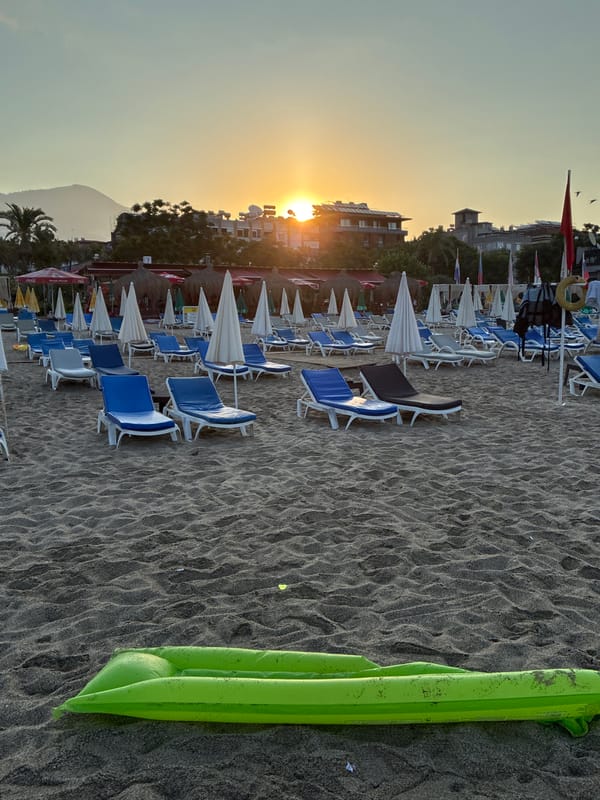 Alanya beach at sunrise, pigeons, a cat, and calm sea.