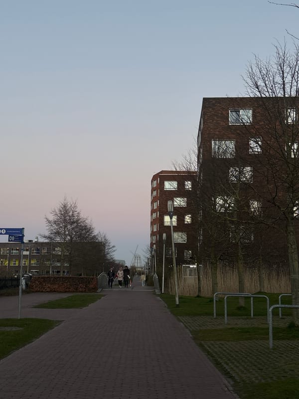 Street scene captured in Leeuwarden showing modern brick buildings