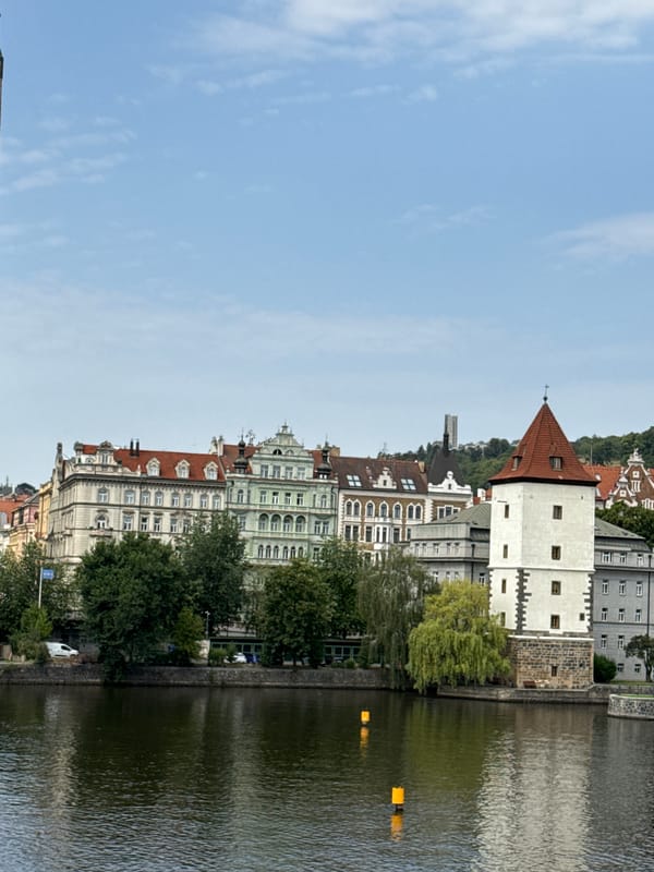Vltava riverside moment, Prague summer morning