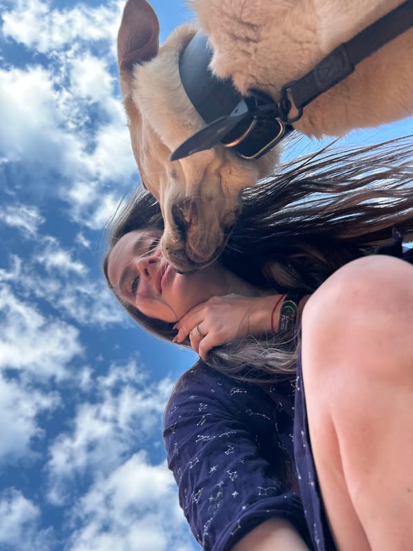 Woman photographs with dog in casual outdoor session, Rusalevka