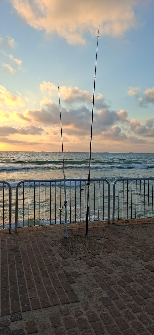 Fishing and shoreline views at sunset along a city coast