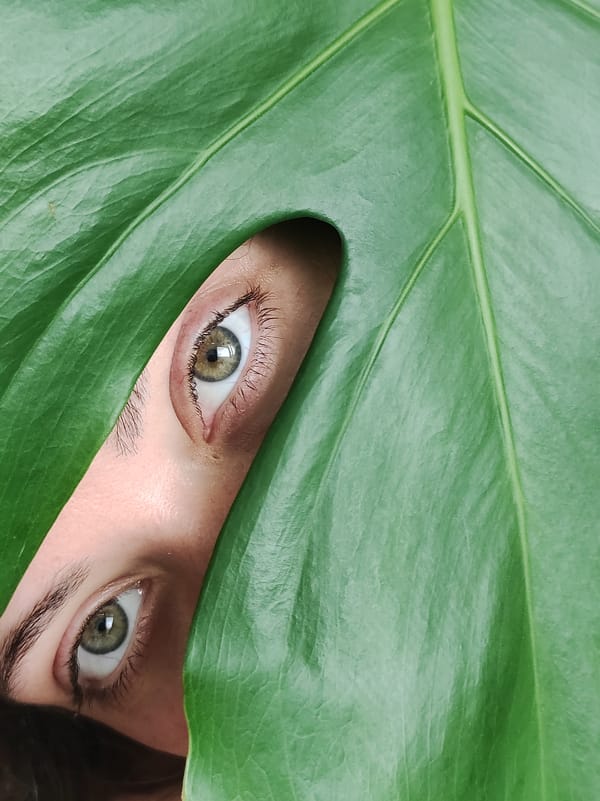 Leafy indoor portraits and a toddler at play in Chaikovsky