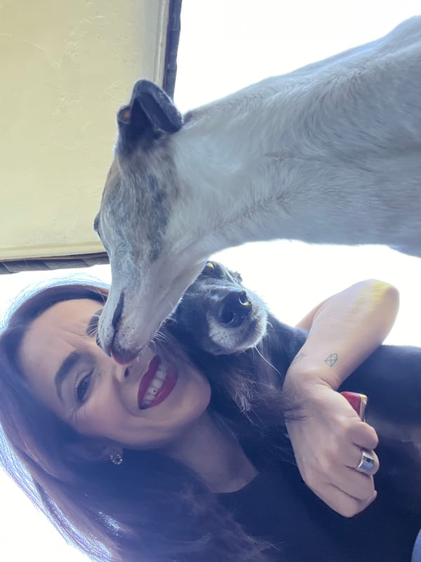 Woman takes morning selfies with pets in Konz, Germany