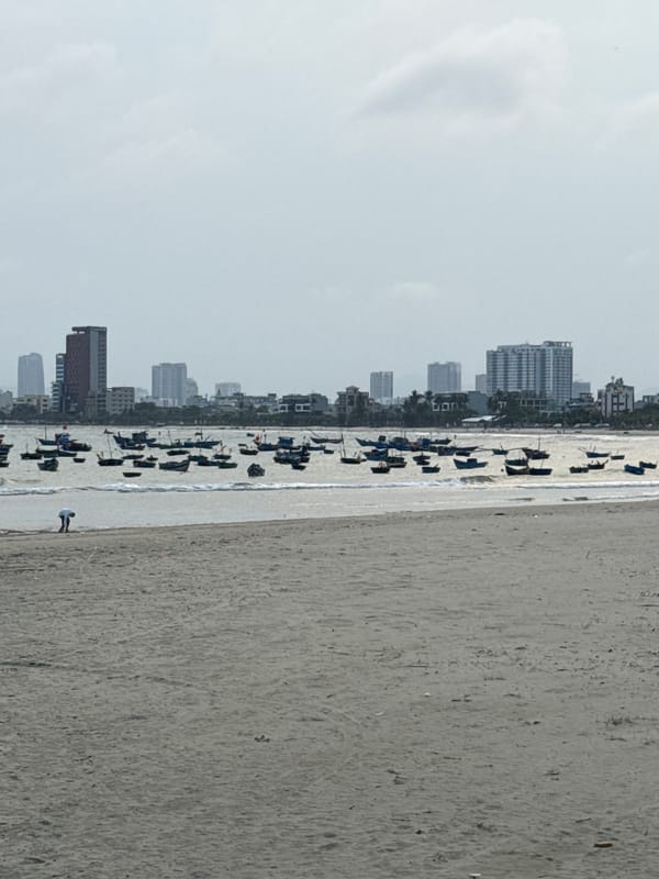 Tourist encounters monkeys, enjoys sandwich during Đà Nẵng beach visit