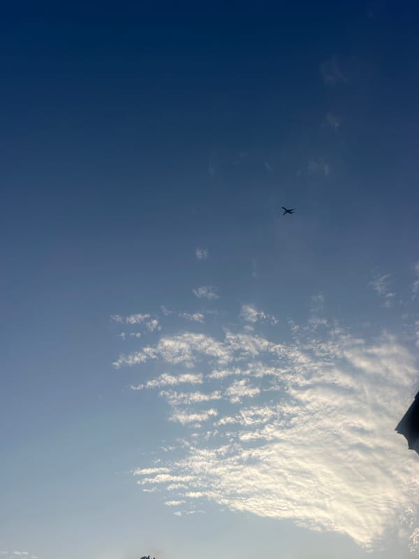 Jacksonville front yard landscaping with a plane passing overhead