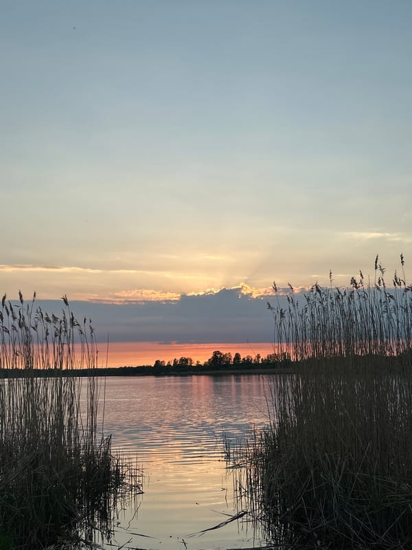 Evening lakeside walk documented in Saint Petersburg park area