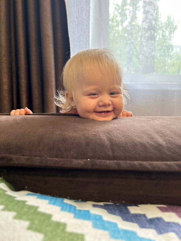 Domestic moments: toddler, pacifier display, small dog documented