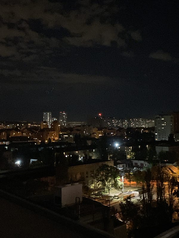 Poodle plays in a Kyiv apartment on a June night