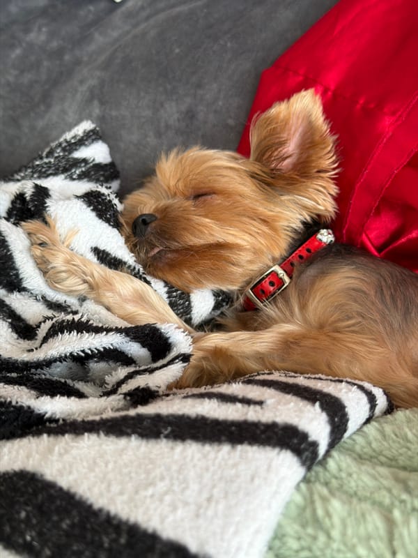 Event