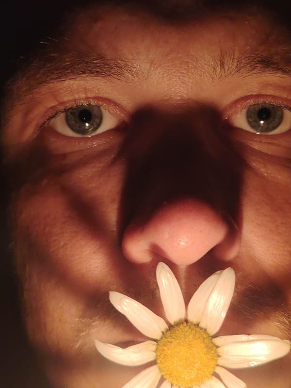Candlelit daisy portraits shot in close-up, Chaikovsky