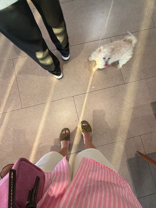 Small white dog licks nose on Cape Town tiled floor