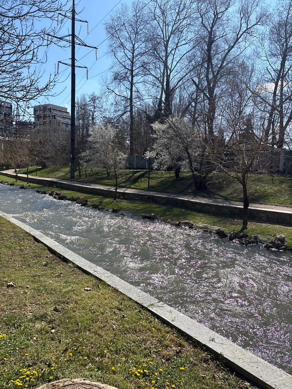 Spring morning walk documented along Salgir River in Simferopol