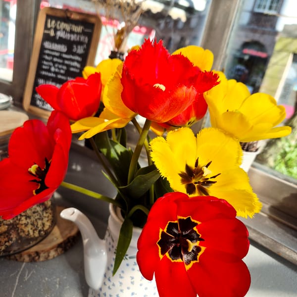 Tulip arrangement photographed in Strasbourg