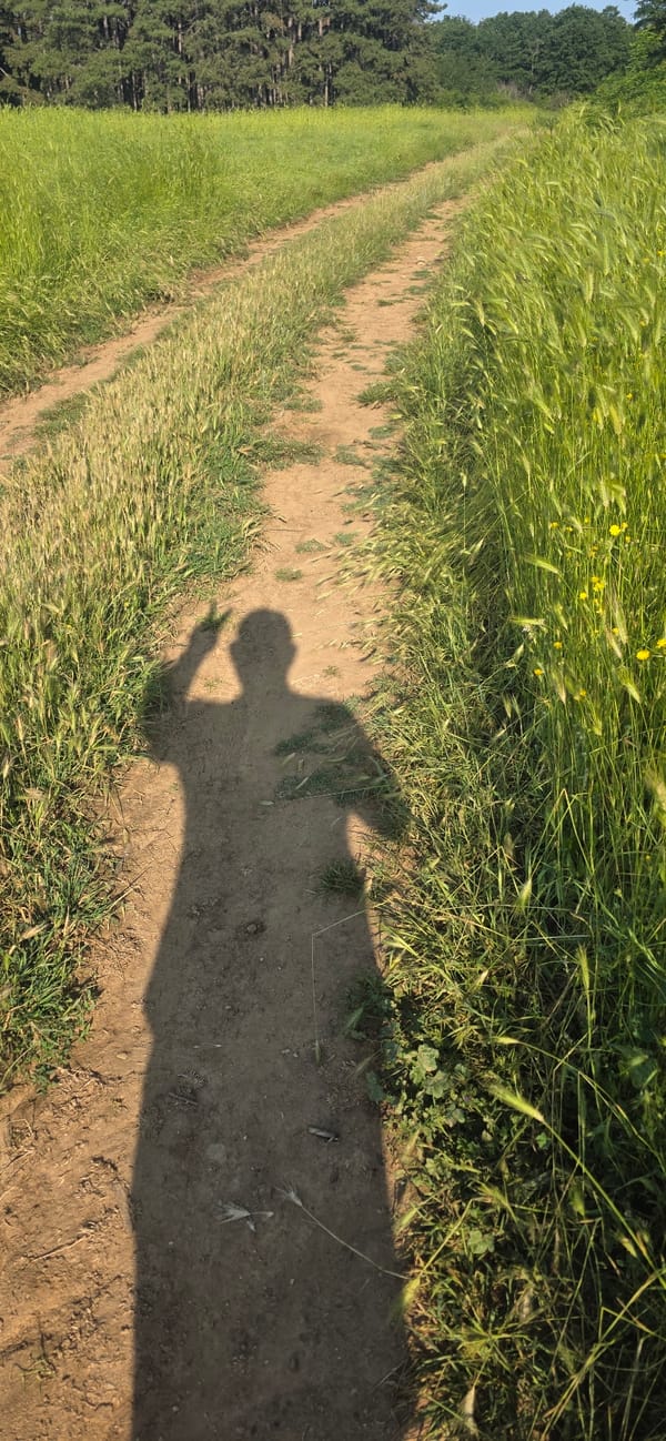 Early morning rural landscape documentation in Esen, Bulgaria