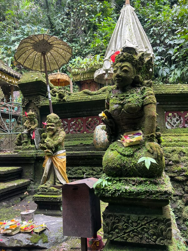 Morning scenes captured in Tegallalang: shrine, prayers, snake