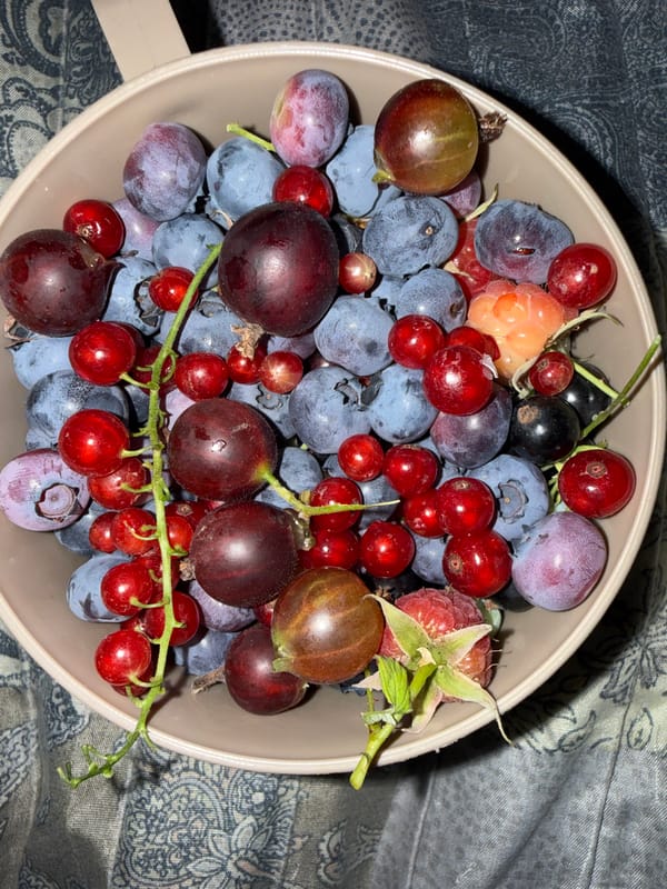 Fresh berries, pea pods, and a cocktail on a summer afternoon