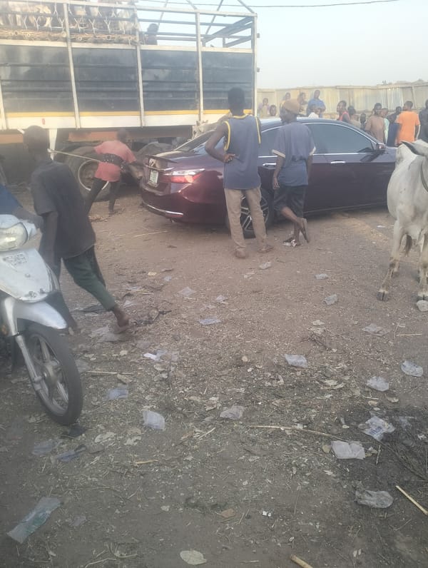 Livestock trucks unload goats, sheep at Gombe marketplace