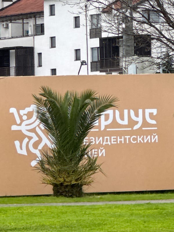 Street scenes documented in Sirius, Russia including signage and roadway