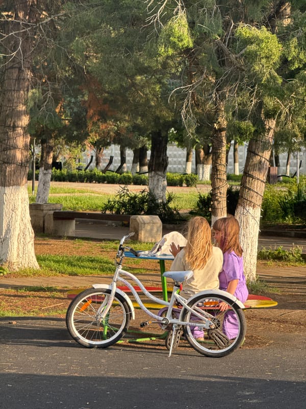 Kids and families spending a summer afternoon at Kurganinsk park