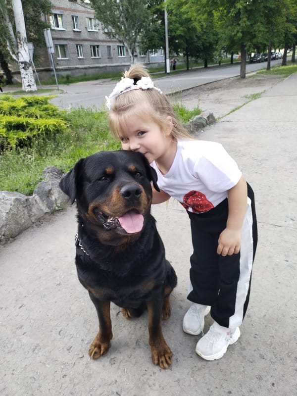 Everyday life moments captured in Ukrainian city afternoon