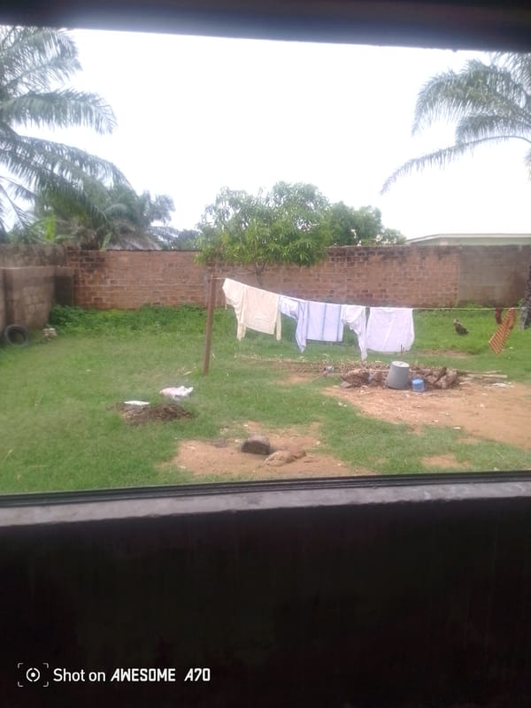 Domestic life snapshot across residential spaces and personal belongings