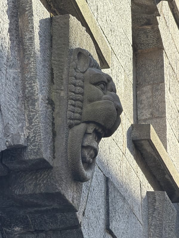 Afternoon scenes documented across Saint Petersburg landmarks and streets