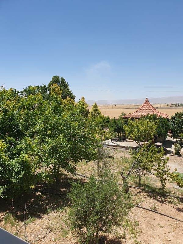 Rural morning scenes documented in Kheyrabad, Iran