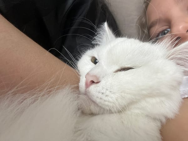 Girl and white cat share quiet moments in Saratov