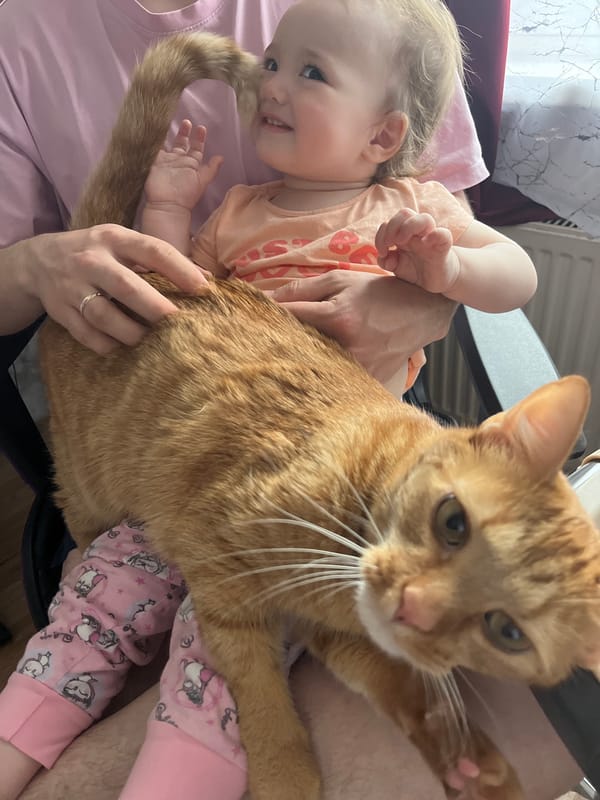 Baby and ginger cat photographed together in Shushary