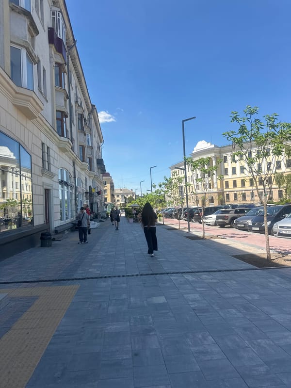 Ternopil morning: a British Shorthair cat and sunny city streets