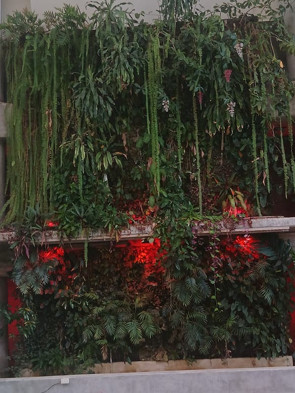 Daily life scenes documented across Venezuelan communities