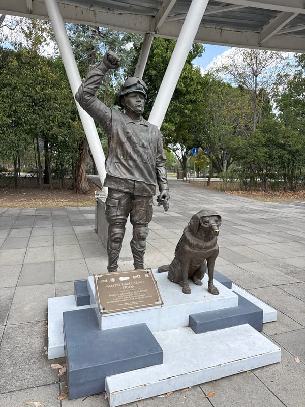Evening park scenes documented in Puebla featuring sculpture, jacarandas