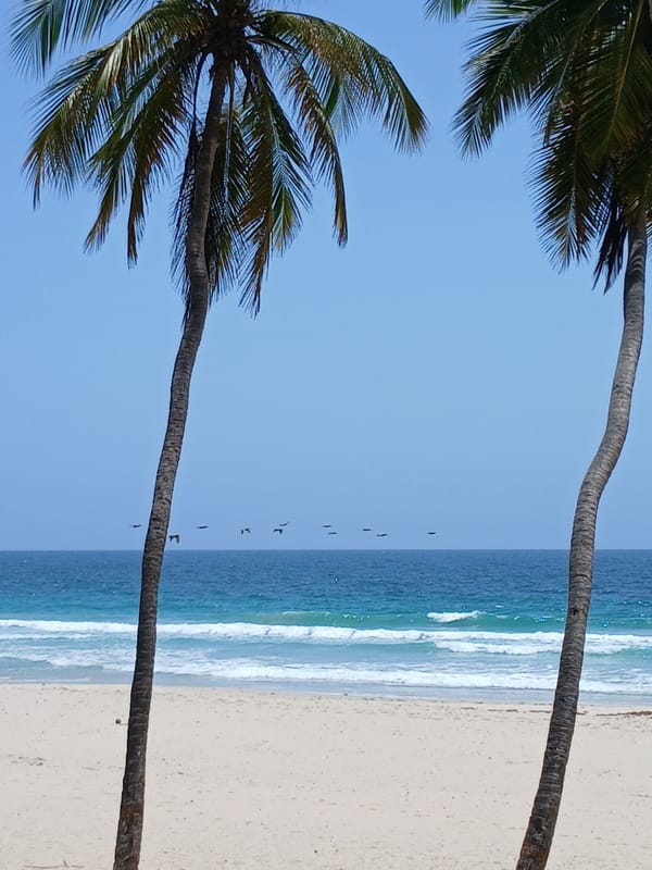 Tourist documents peaceful afternoon at Venezuela's Playa El Agua beach