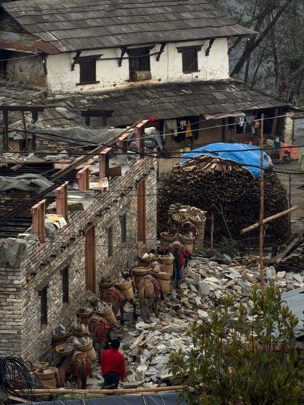 Tourist documents traditional village life in Purano Ghandruk, Nepal