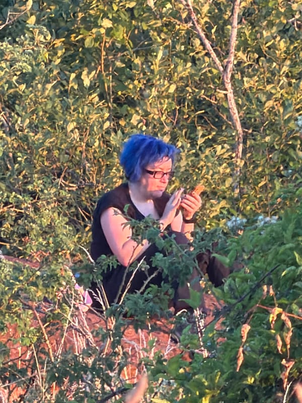 Evening walk through Schifflange's woods and fields at dusk