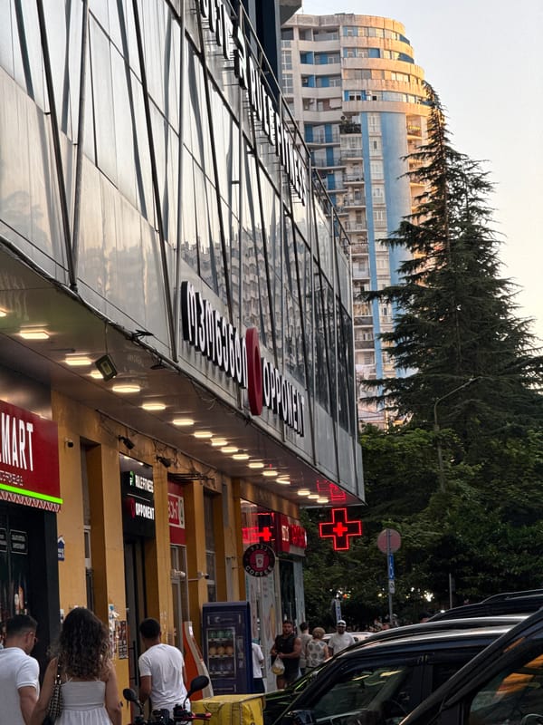 City streets, a waterfront walk, and a sleeping cat