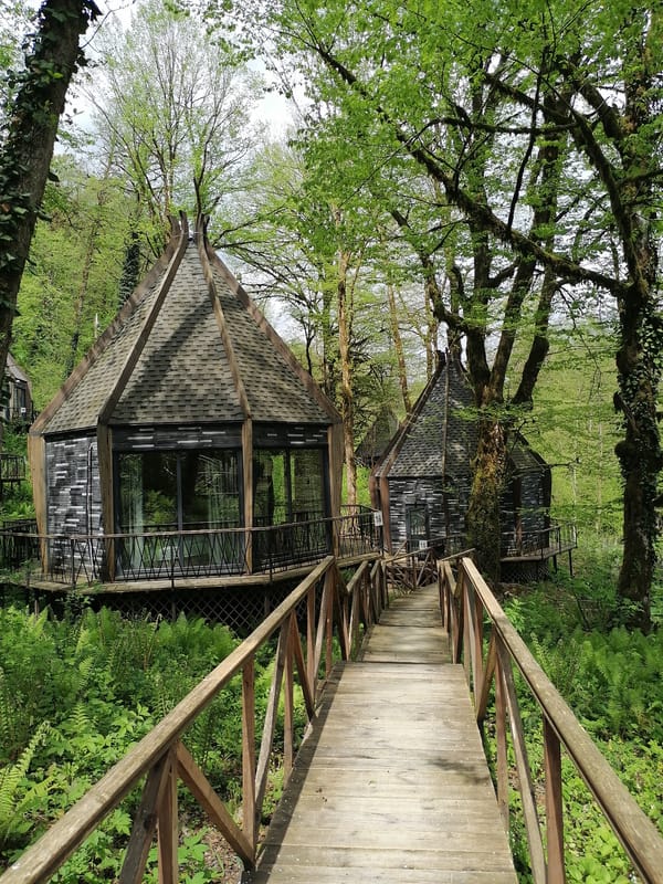 Forest resort documented in Medoveevka, Russia during spring morning