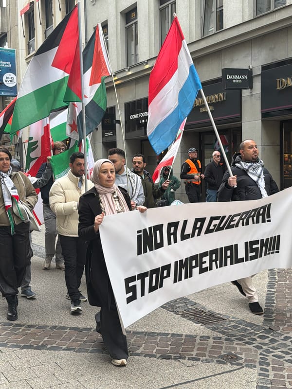 Pro-Palestinian demonstration marches through Luxembourg City commercial district