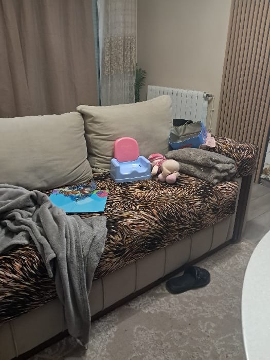 Daily life snapshots captured across homes and streets