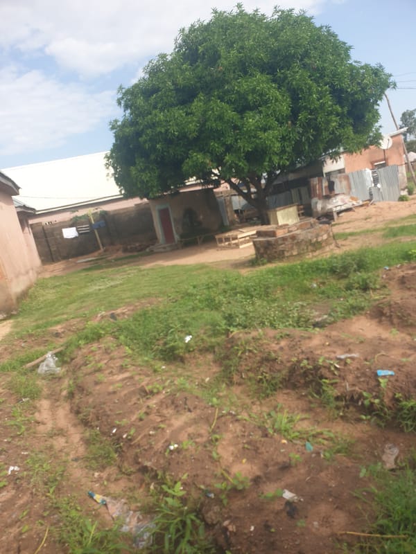 Morning life documented across Jalingo neighborhoods and farmland