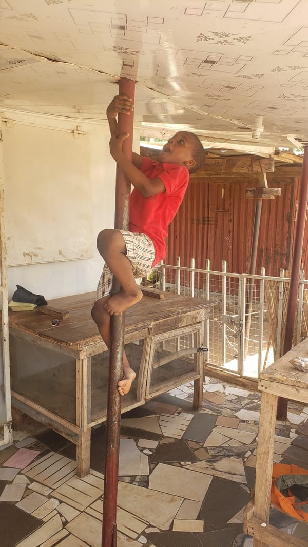Everyday street life in Narayi, Nigeria on a June morning