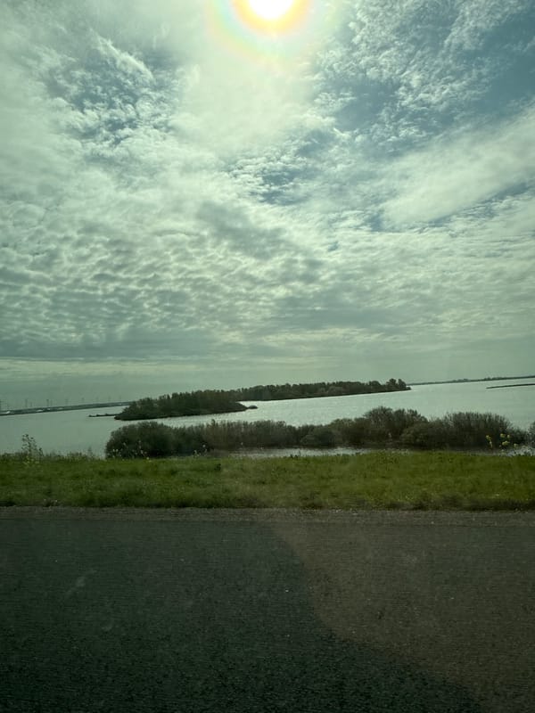 Morning travel and scenic landscapes documented near waterway