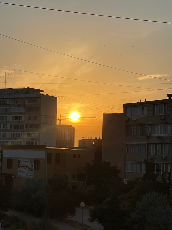 Aktau sunset and cats on a summer evening