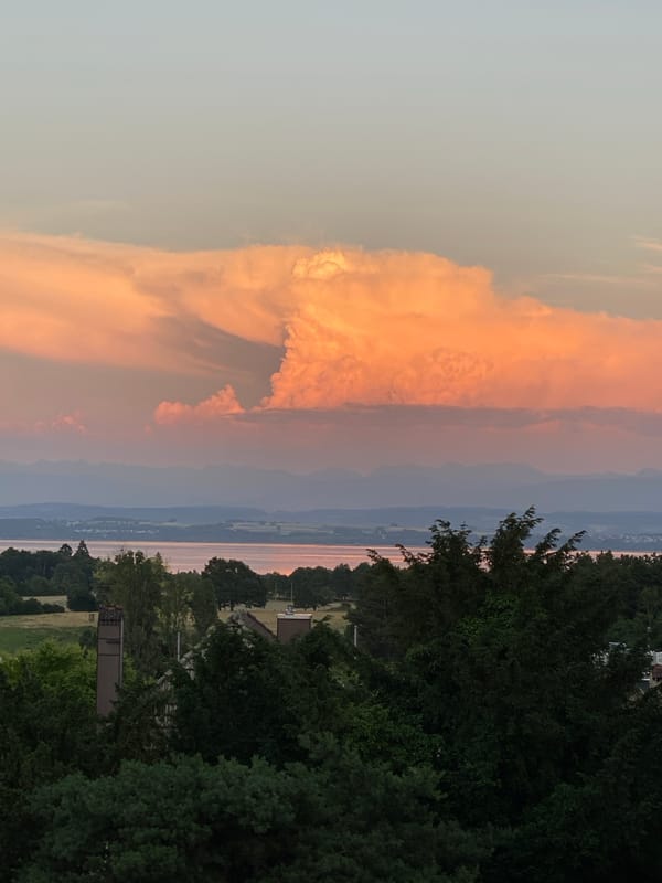 Summer evening in Milvignes: hay fields, garden, lake views