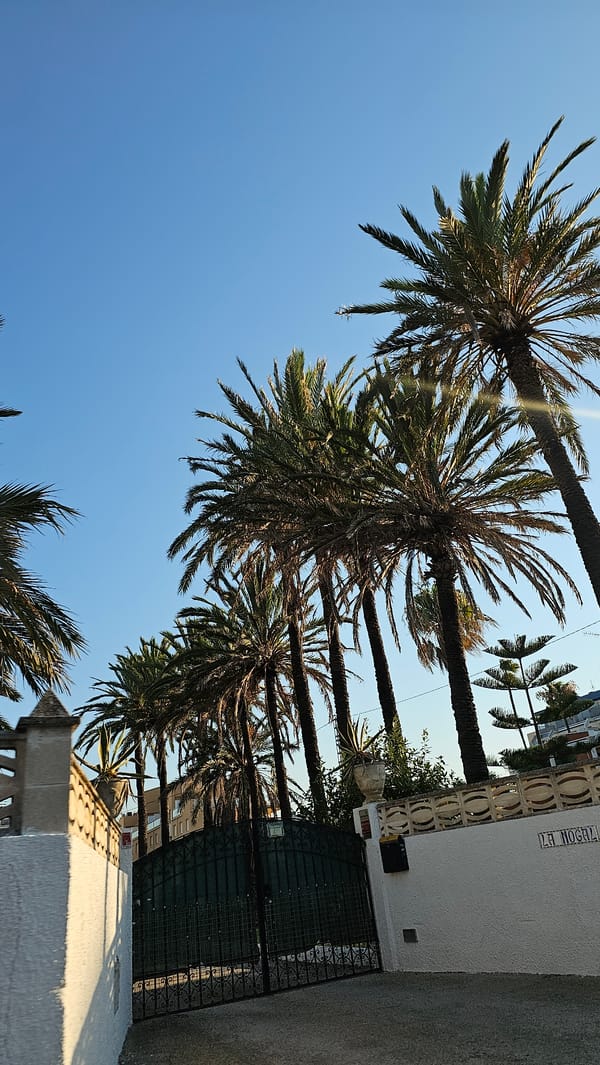 Palm-lined streets and everyday scenes in Les Marines, Spain