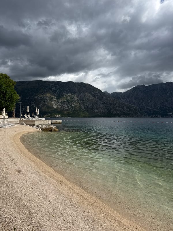 Tourist enjoys quiet beach morning with cat in Montenegro