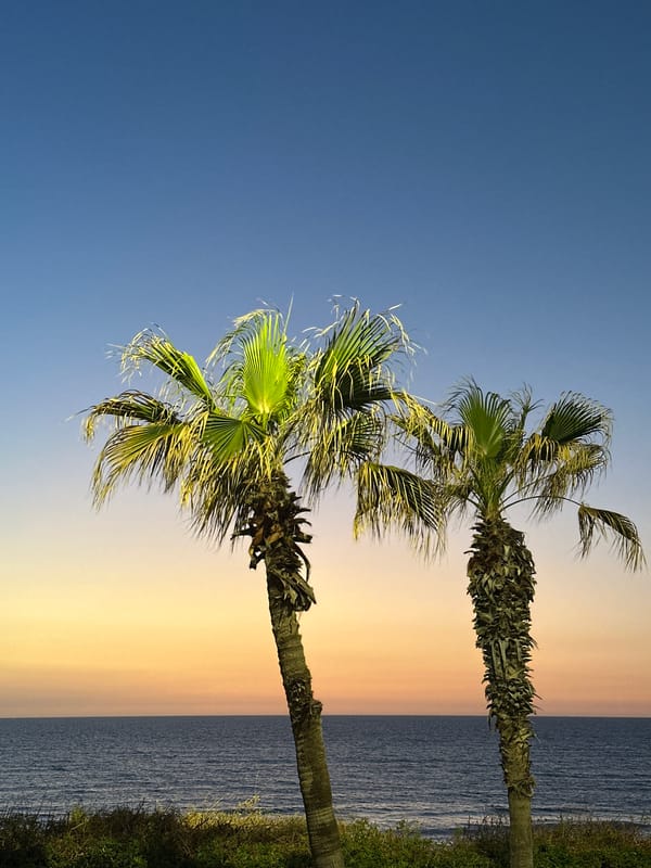 Palm trees frame sunset view along Bat Yam waterfront